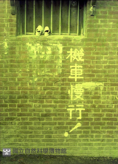 1950至2006年臺灣常民生活藏品圖，第1張