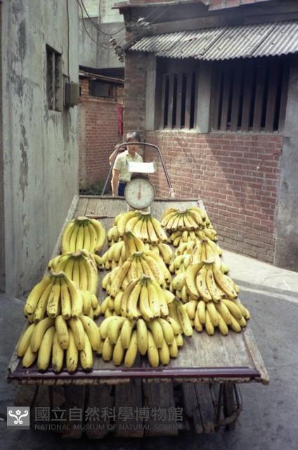 1950至2006年臺灣常民生活藏品圖，第1張
