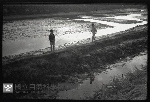 1950至2006年臺灣常民生活藏品圖，第1張