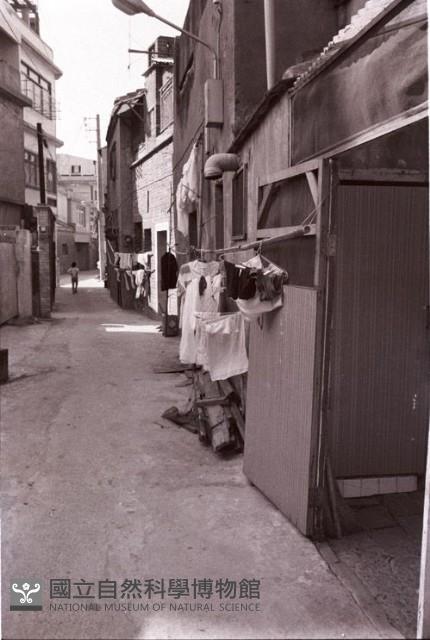 1950至2006年臺灣常民生活藏品圖，第1張