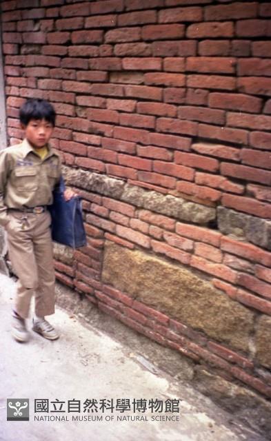 1950至2006年臺灣常民生活藏品圖，第1張