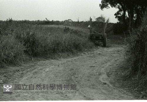 1950至2006年臺灣常民生活藏品圖，第1張