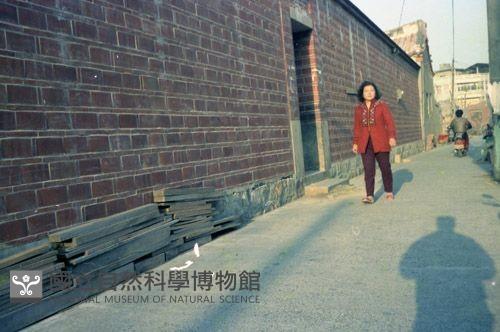 1950至2006年臺灣常民生活藏品圖，第1張