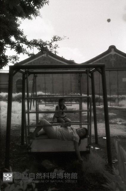 1950至2006年臺灣常民生活藏品圖，第1張