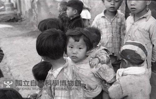 1950至2006年臺灣常民生活藏品圖，第1張