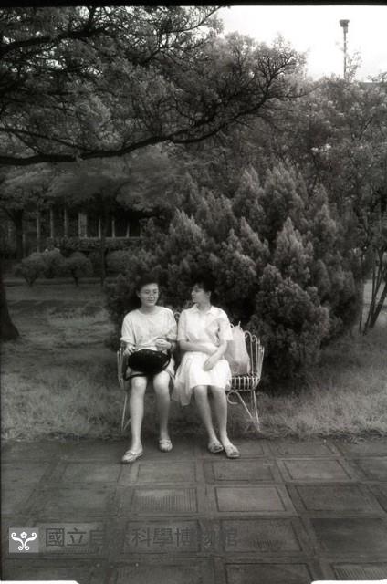 1950至2006年臺灣常民生活藏品圖，第1張