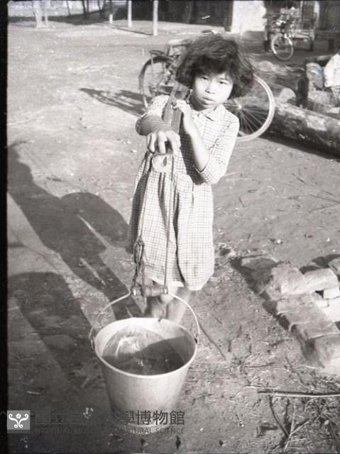 1950至2006年臺灣常民生活藏品圖，第1張