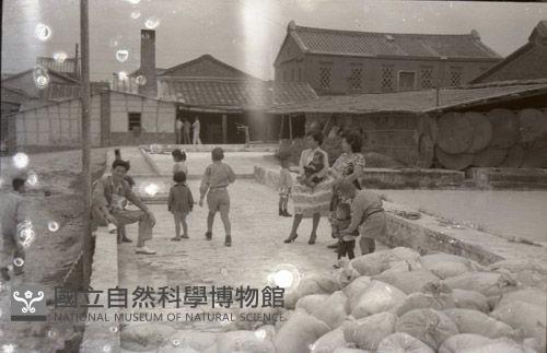 1950至2006年臺灣常民生活藏品圖，第1張