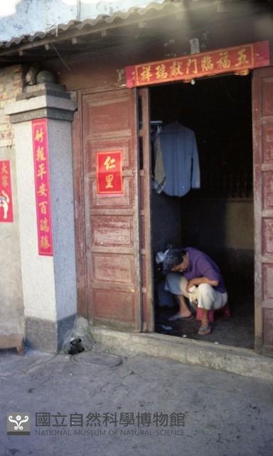 1950至2006年臺灣常民生活藏品圖，第1張