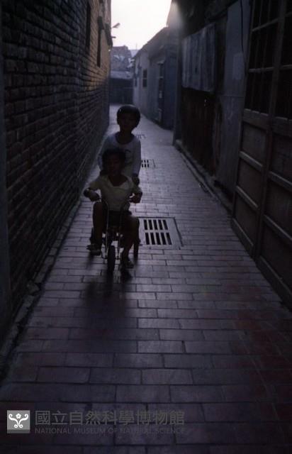 1950至2006年臺灣常民生活藏品圖，第1張