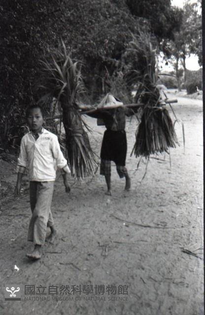 1950至2006年臺灣常民生活藏品圖，第1張