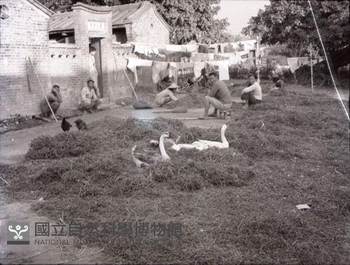 1950至2006年臺灣常民生活藏品圖，第1張