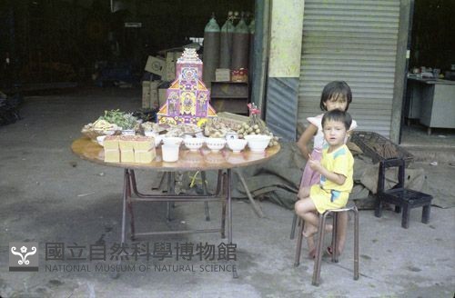 七娘媽生（1950至2006年臺灣常民生活）藏品圖，第1張