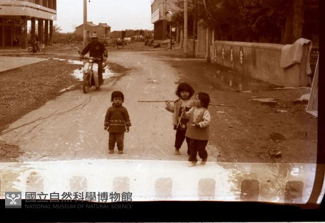 1950至2006年臺灣常民生活藏品圖，第1張
