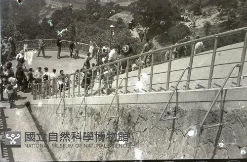 1950至2006年臺灣常民生活藏品圖，第1張