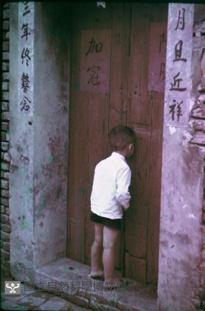 1950至2006年臺灣常民生活藏品圖，第1張