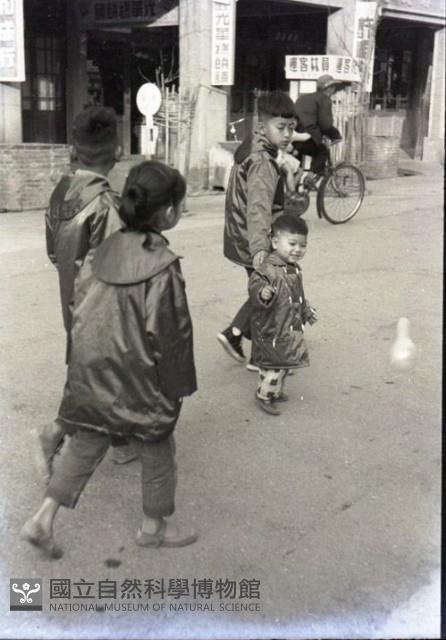1950至2006年臺灣常民生活藏品圖，第1張
