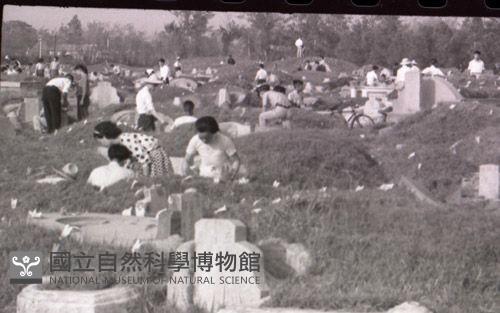 1950至2006年臺灣常民生活藏品圖，第1張