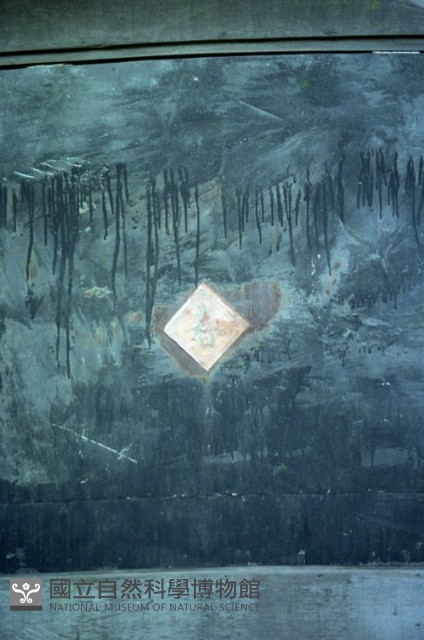 1950至2006年臺灣常民生活藏品圖，第1張