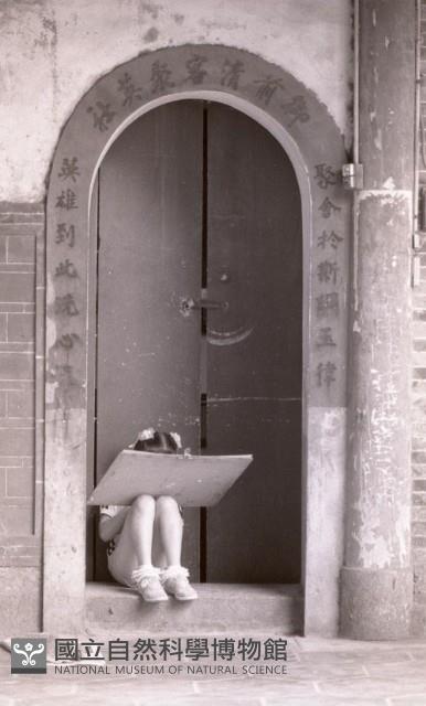 1950至2006年臺灣常民生活藏品圖，第1張