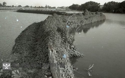 1950至2006年臺灣常民生活藏品圖，第1張
