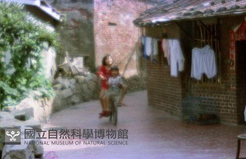 1950至2006年臺灣常民生活藏品圖，第1張