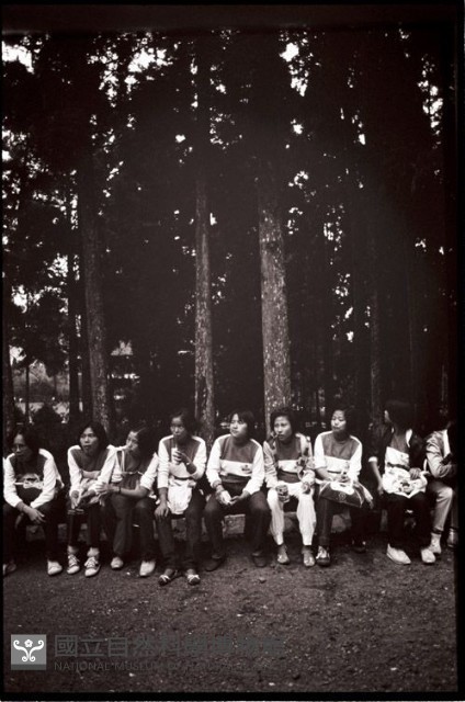 1950至2006年臺灣常民生活藏品圖，第1張