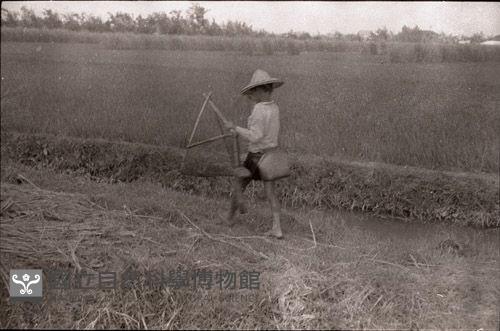 1950至2006年臺灣常民生活藏品圖，第1張
