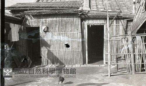 1950至2006年臺灣常民生活藏品圖，第1張