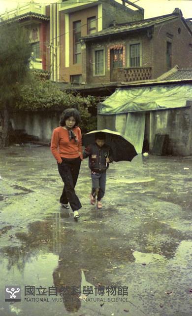 1950至2006年臺灣常民生活藏品圖，第1張