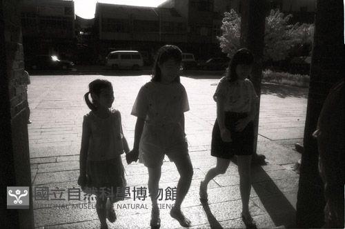 1950至2006年臺灣常民生活藏品圖，第1張
