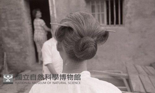 1950至2006年臺灣常民生活藏品圖，第1張
