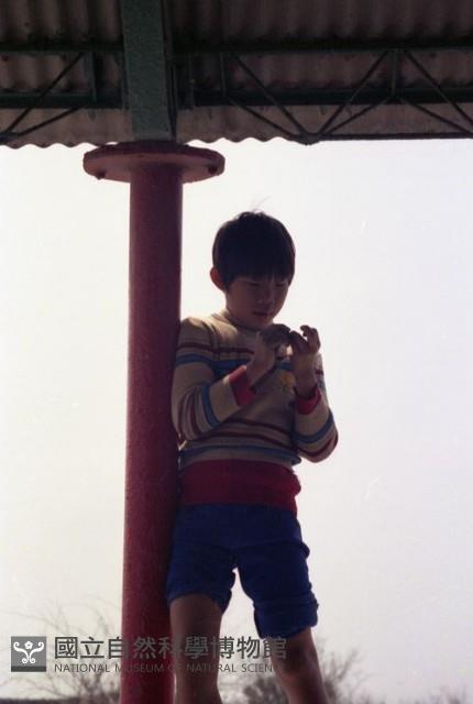 1950至2006年臺灣常民生活藏品圖，第1張