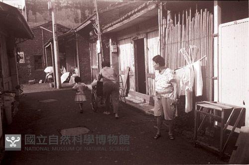 1950至2006年臺灣常民生活藏品圖，第1張