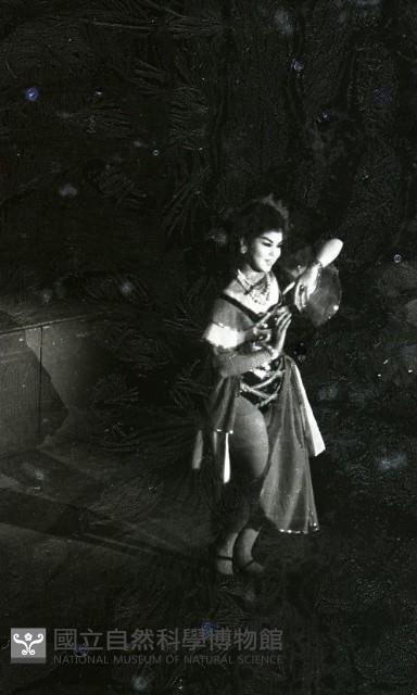 1950至2006年臺灣常民生活藏品圖，第1張