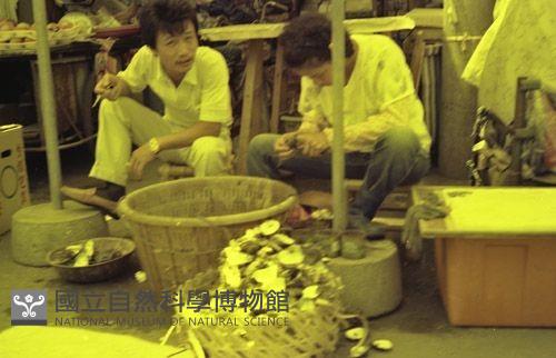 1950至2006年臺灣常民生活藏品圖，第1張