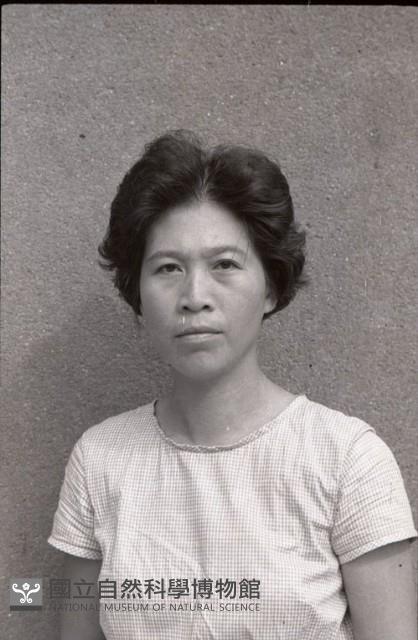 1950至2006年臺灣常民生活藏品圖，第1張