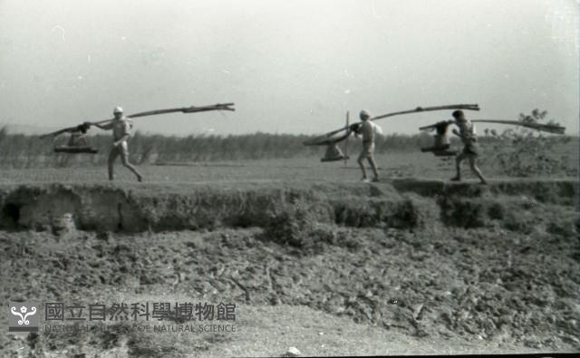 1950至2006年臺灣常民生活藏品圖，第1張