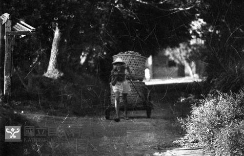 1950至2006年臺灣常民生活藏品圖，第1張