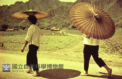 1950至2006年臺灣常民生活藏品圖，第1張