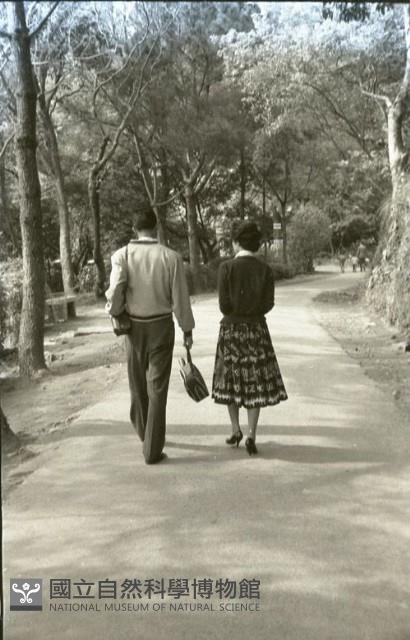 1950至2006年臺灣常民生活藏品圖，第1張