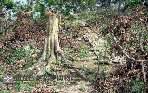 1950至2006年臺灣常民生活藏品圖，第1張