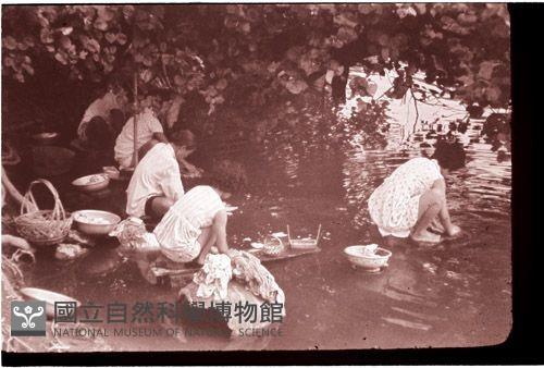 1950至2006年臺灣常民生活藏品圖，第1張