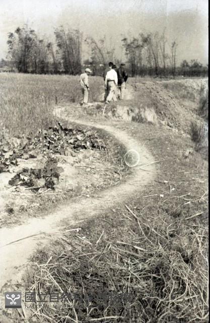 1950至2006年臺灣常民生活藏品圖，第1張