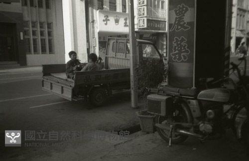 1950至2006年臺灣常民生活藏品圖，第1張