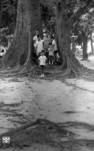 1950至2006年臺灣常民生活藏品圖，第1張