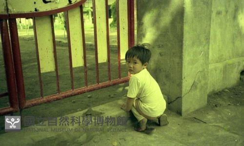 1950至2006年臺灣常民生活藏品圖，第1張