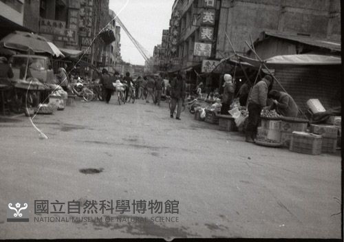 1950至2006年臺灣常民生活藏品圖，第1張
