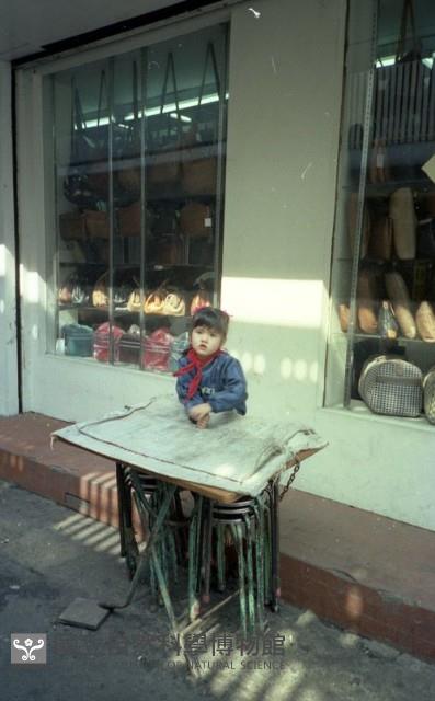 1950至2006年臺灣常民生活藏品圖，第1張