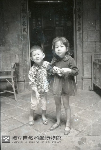 1950至2006年臺灣常民生活藏品圖，第1張